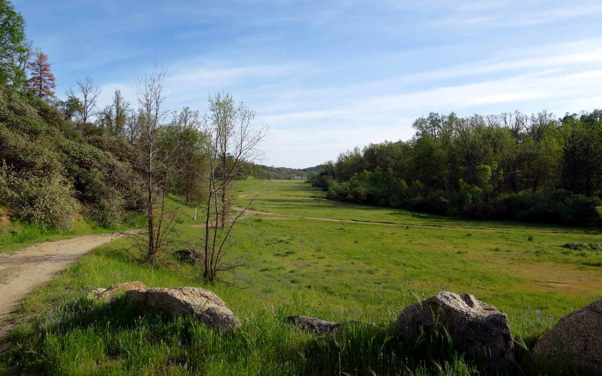 Field