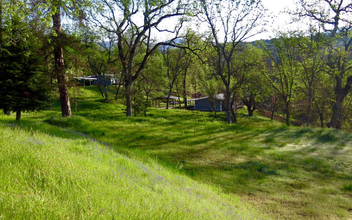 Field