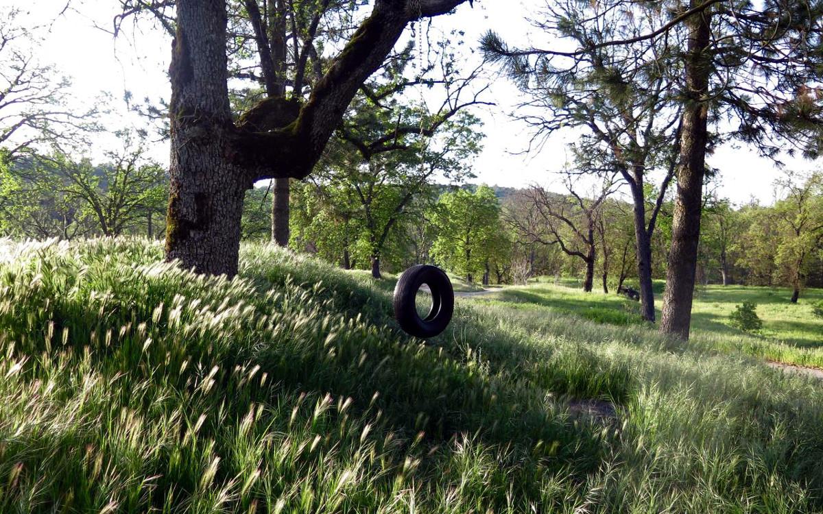 Field