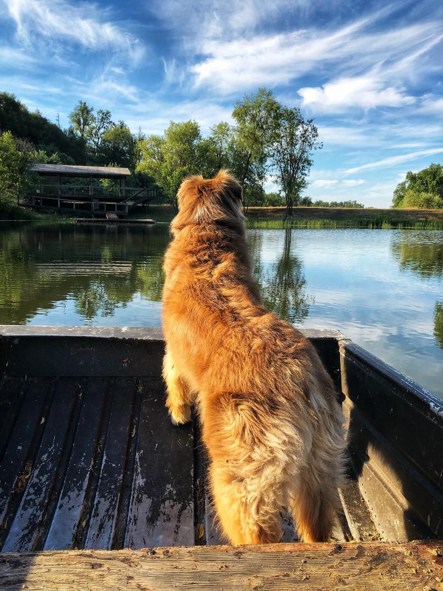 Lake