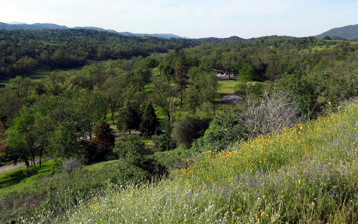 Field