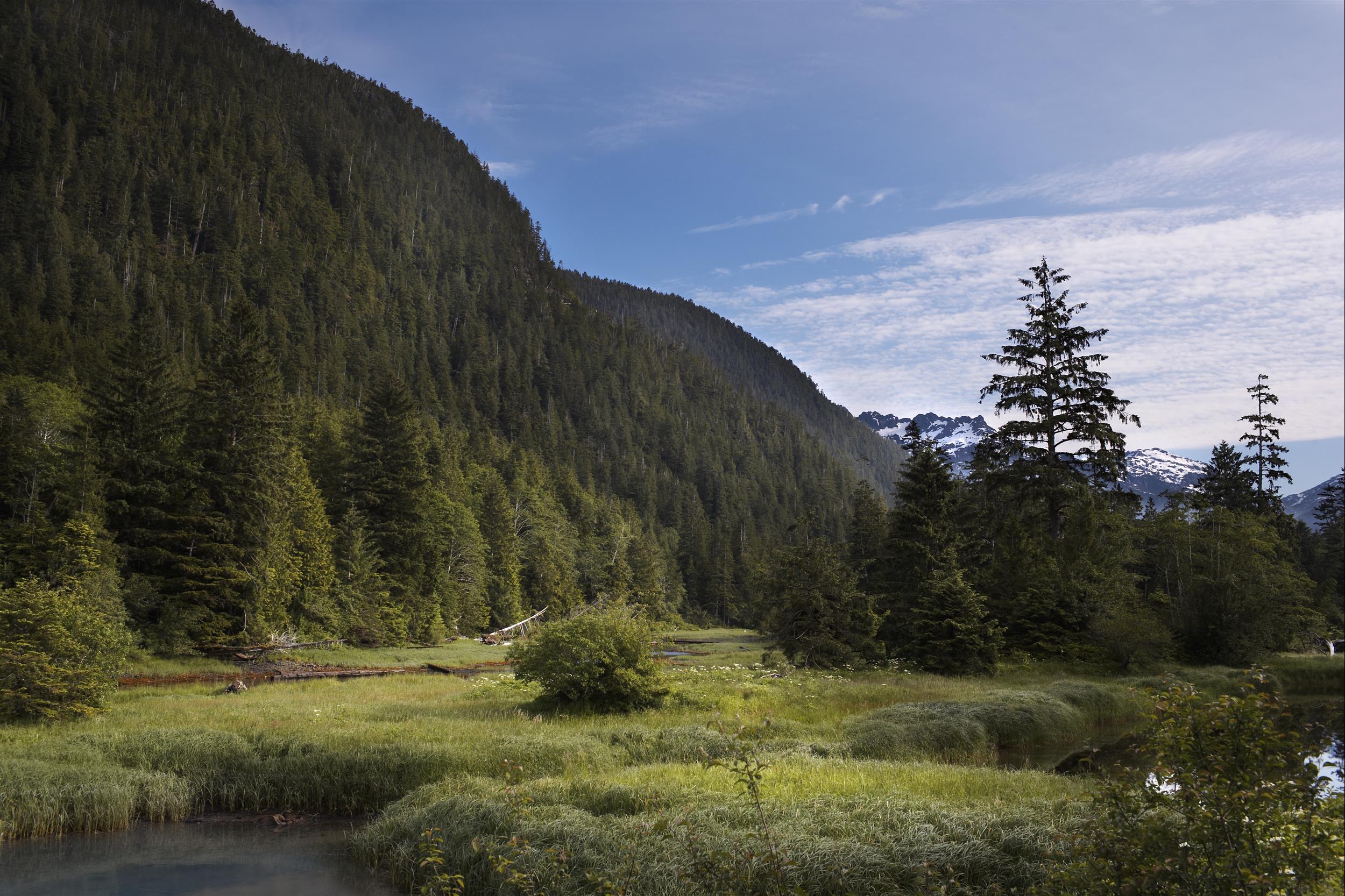 mountain scenery